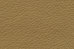 Porsche Savannabeige